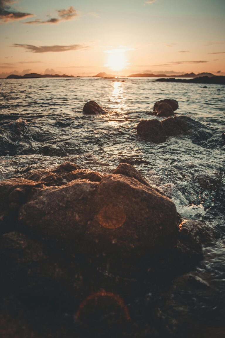 pexels shotbyrain 3113853